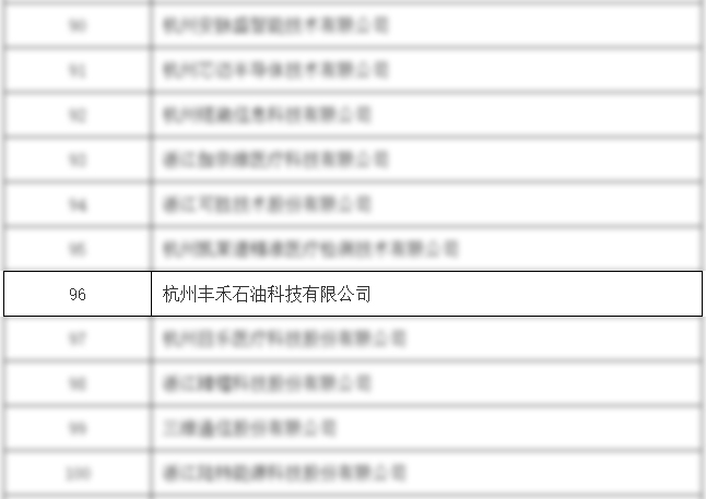 亿万先生MR丰禾公司荣获国家级专精特新“小巨人”企业(图2) 亿万先生MR丰禾公司荣获国家级专精特新“小巨人”企业(图2)